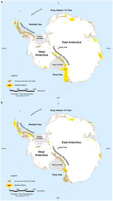 Uncovering the Uncultivated Majority in Antarctic Soils: Toward a Synergistic Approach